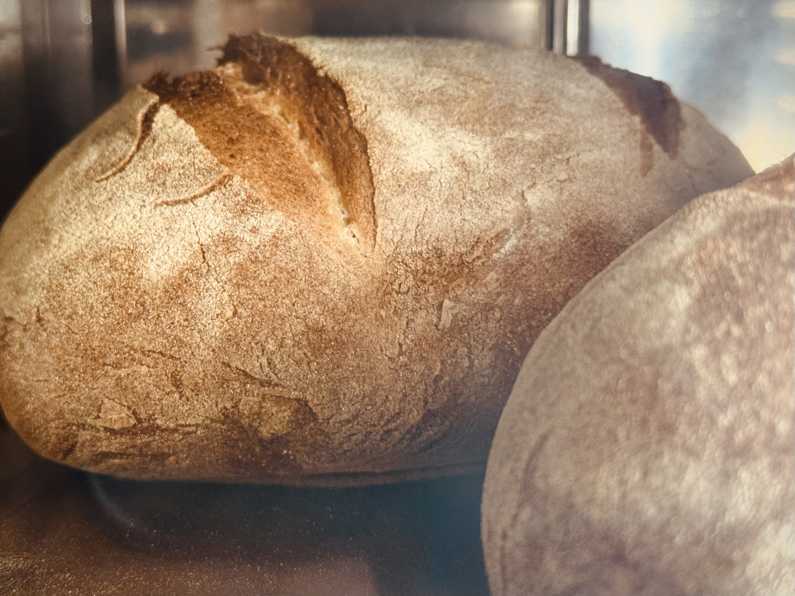 Pane appena sfornato avvolto in un panno di cotone