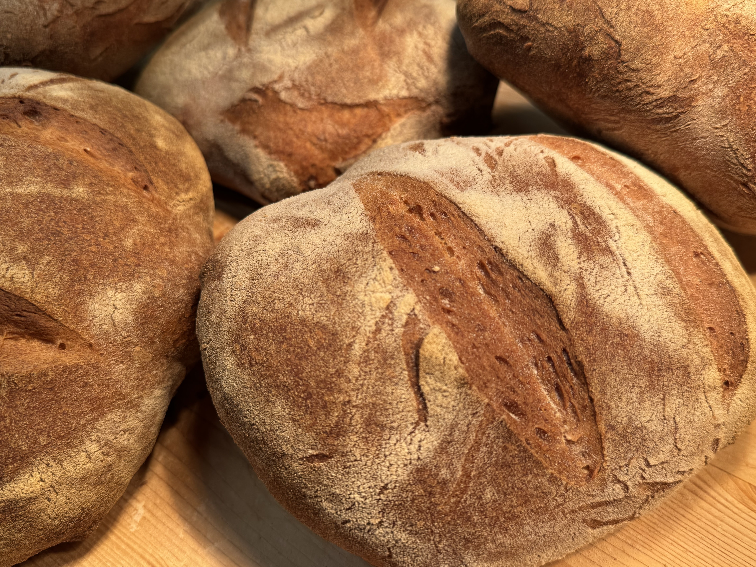 Pane Nostro dell'Osteria del Prevat